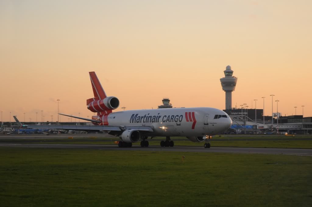 517.jpg