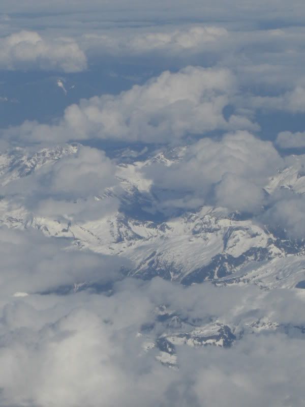 CIMG7259.jpg