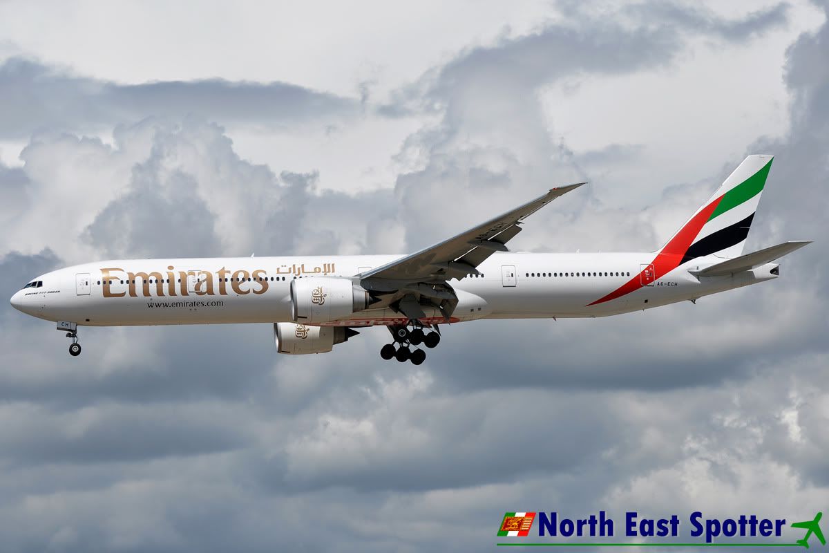 FRA-15-05-20112.jpg