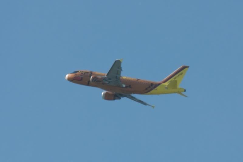 DSC_1917.jpg