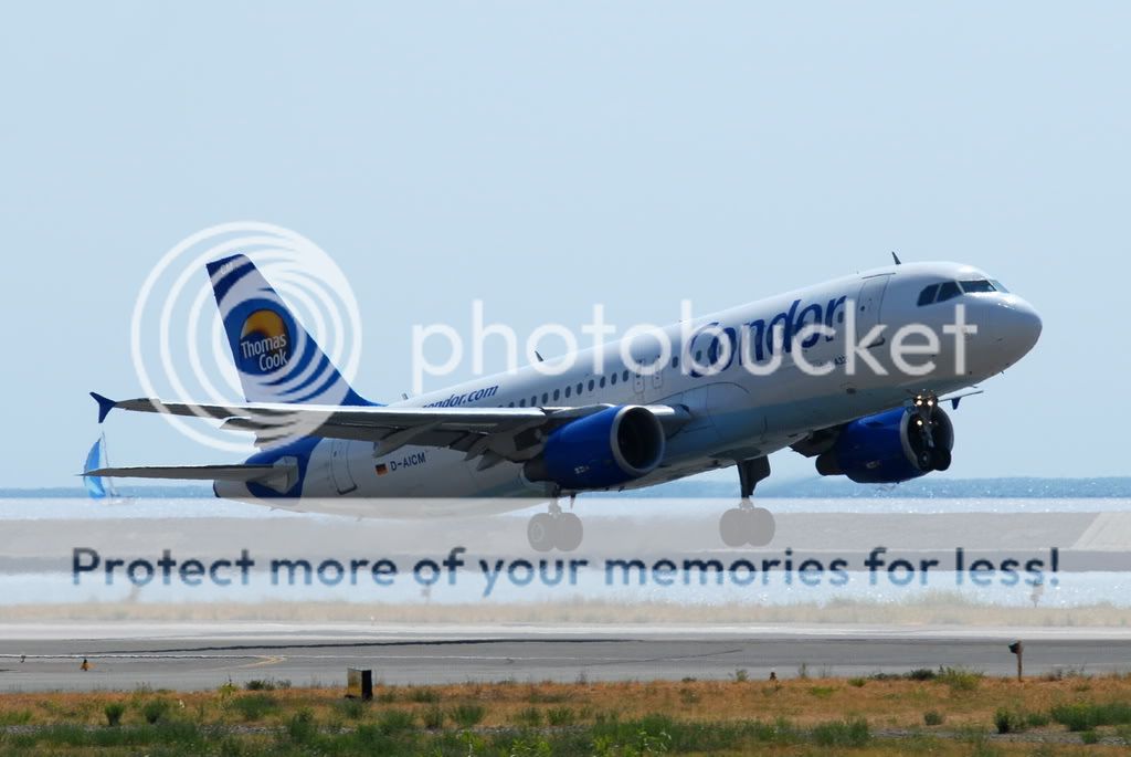 condor6.jpg