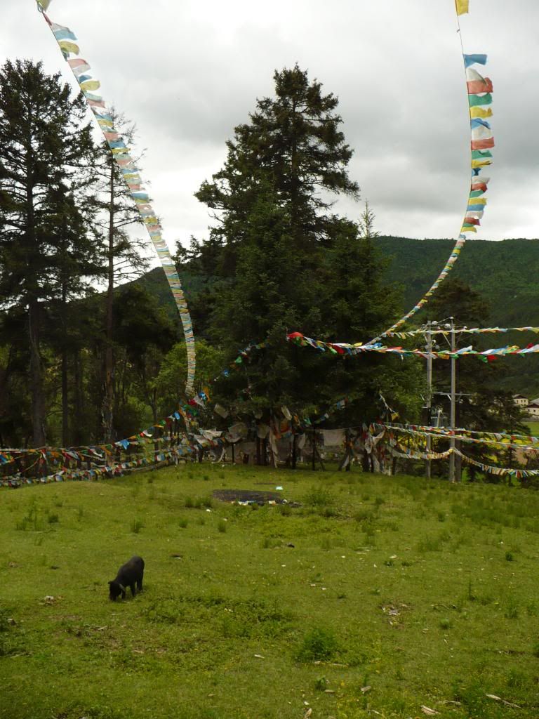 P1010308.jpg