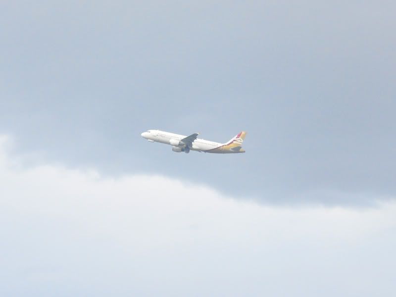 DSC_0074.jpg