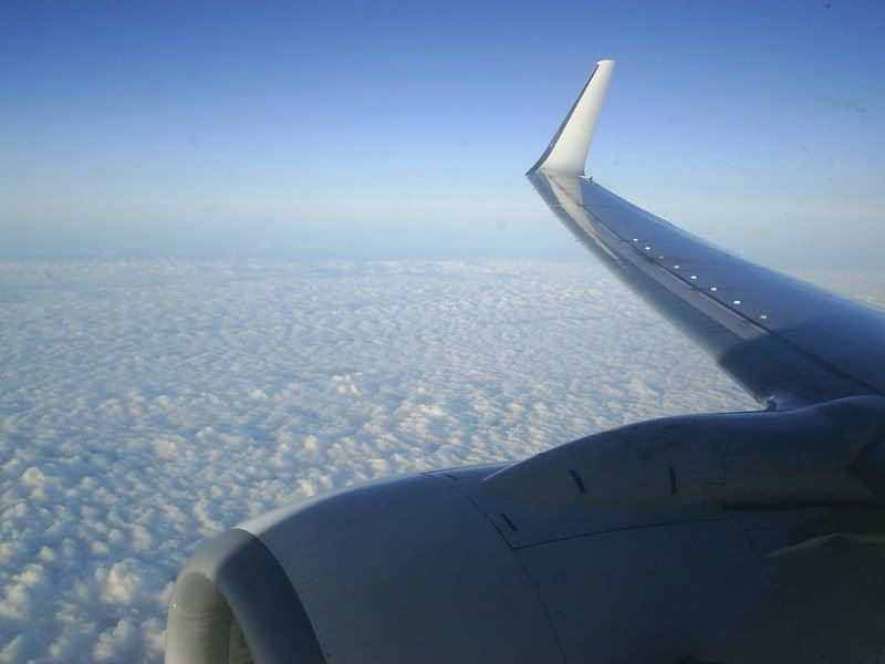 S3010201.jpg