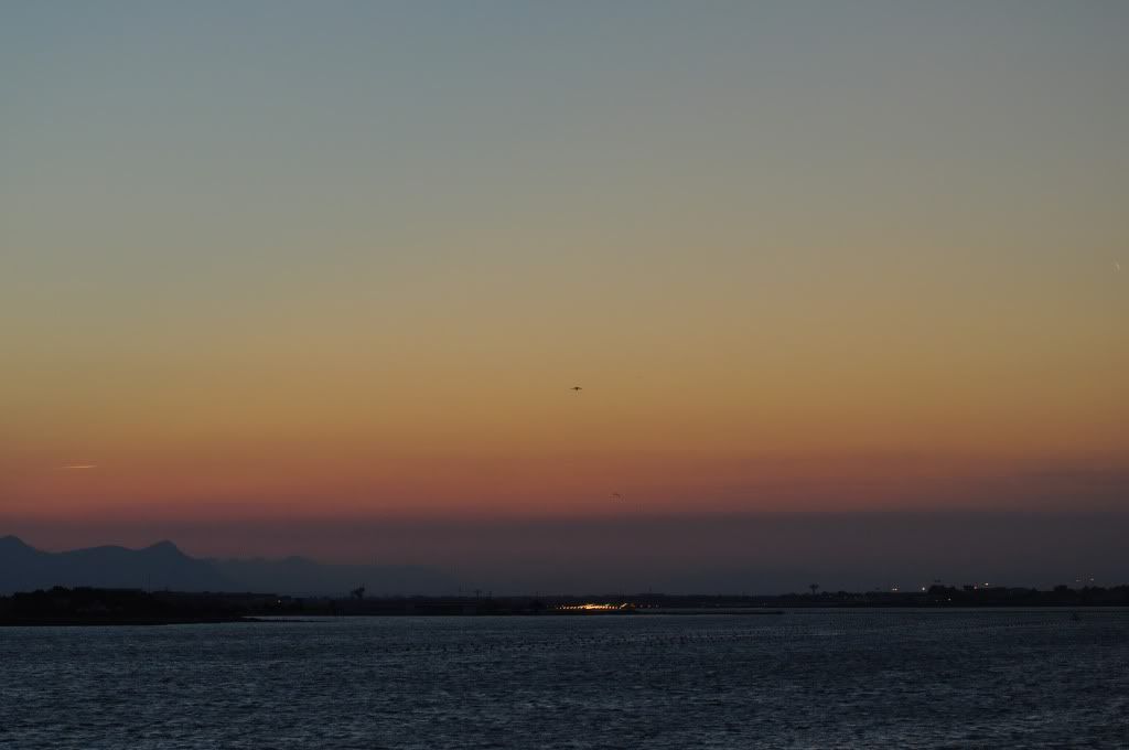 DSC_0345-1.jpg