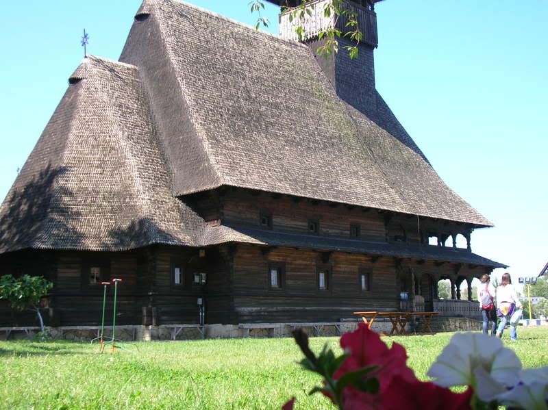 DSCN6828.jpg