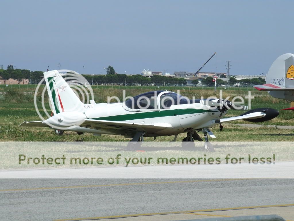 DSCF5384.jpg