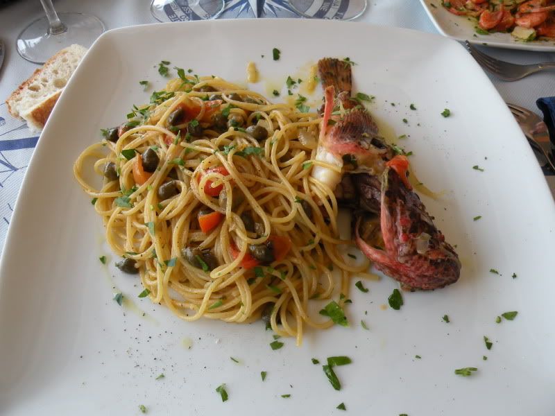 DSCN8139.jpg