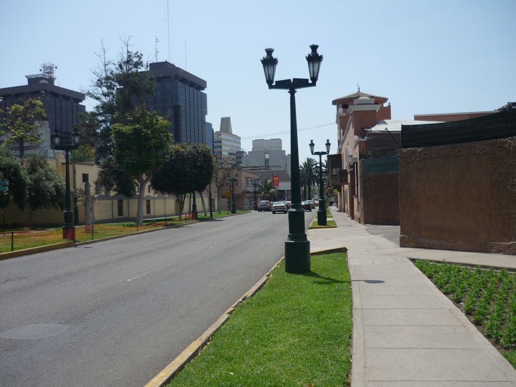 P1010519.jpg