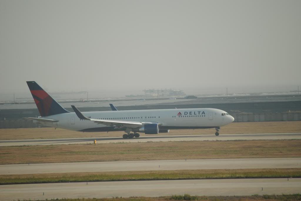 DSC_0203.jpg