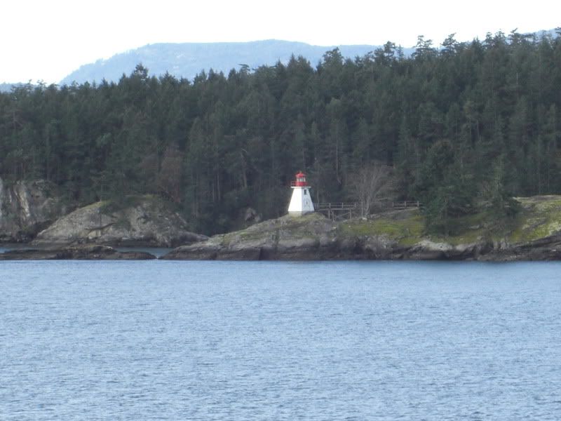 CIMG7932.jpg