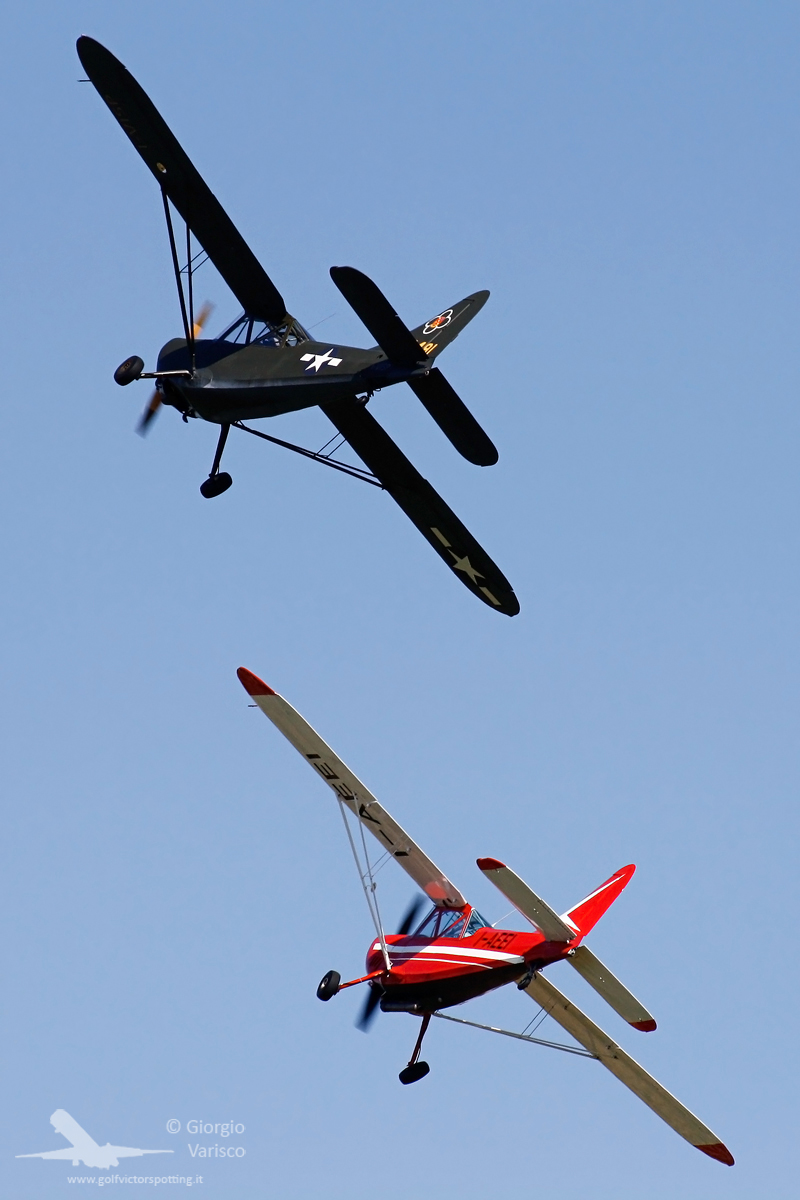 _MG_0247_300613.jpg