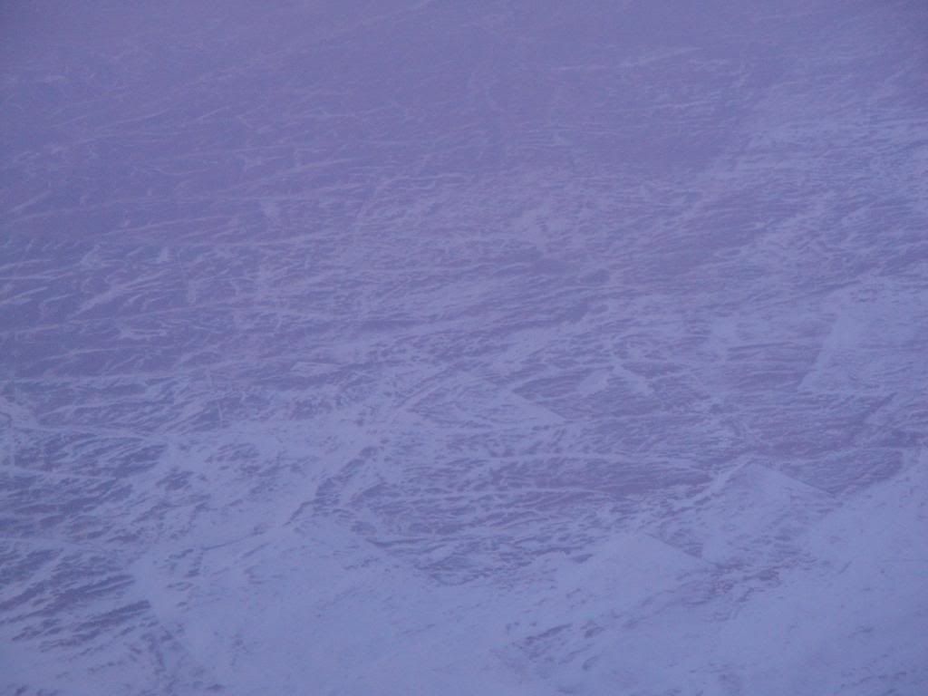 DSC01431.jpg