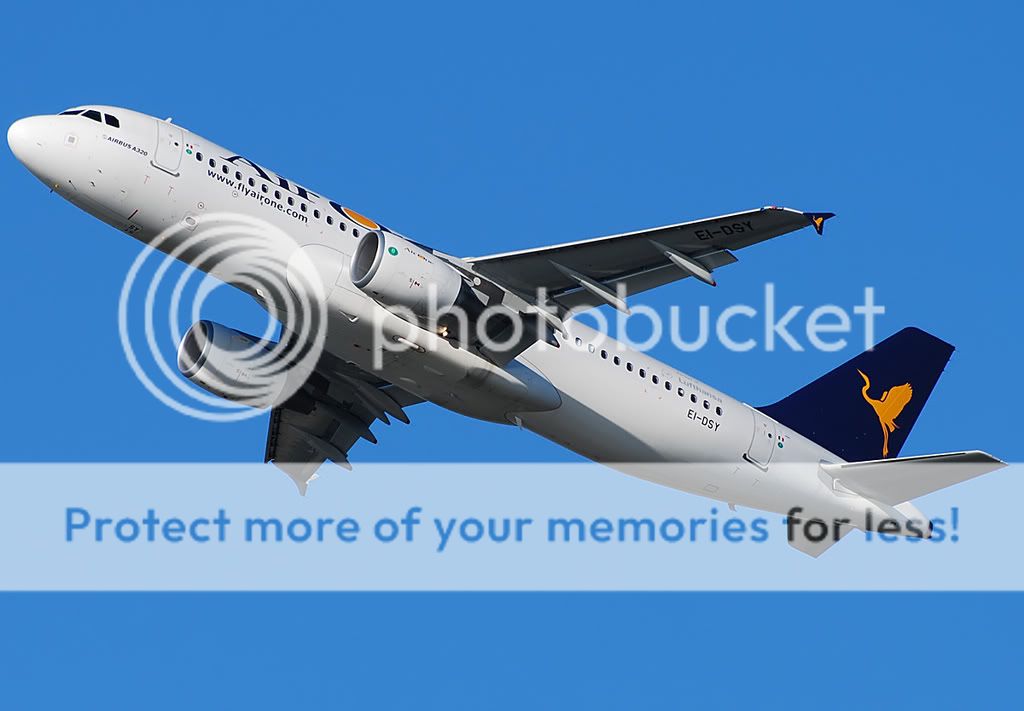 EI-DSY.jpg