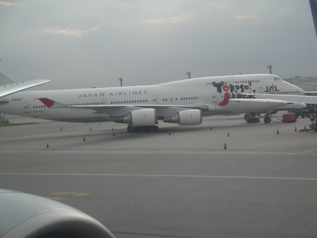 DSC00538.jpg
