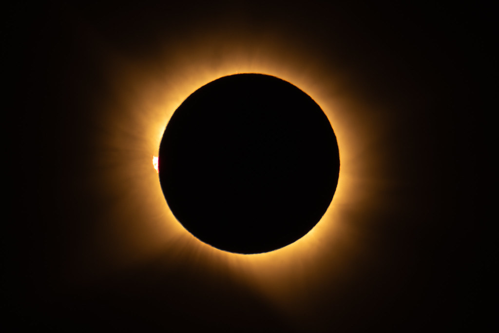 55466309472_5ddf9cdc71_b.jpg