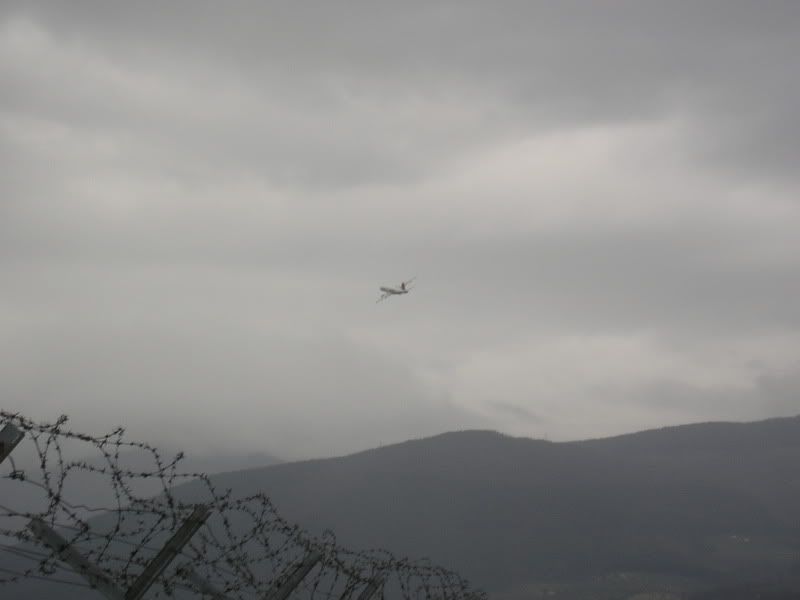 P1010005.jpg