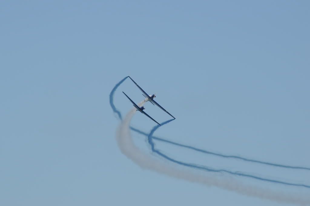 DSC_0566.jpg