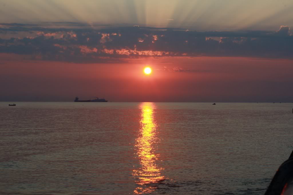 IMG_7817.jpg