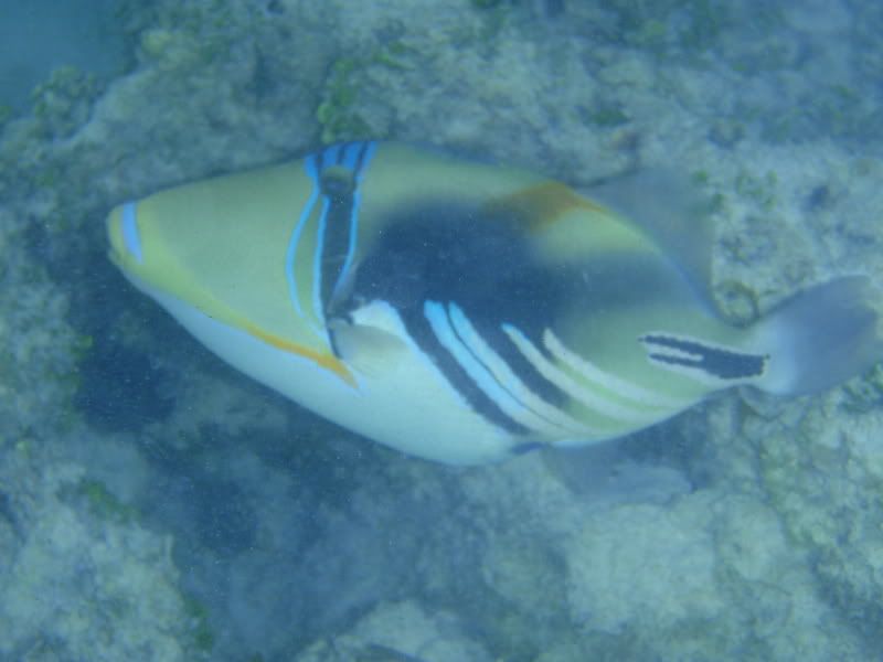 P1020358.jpg