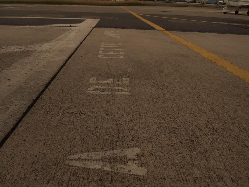 P6051462.jpg