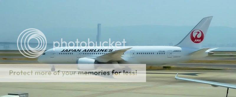 787_2.jpg