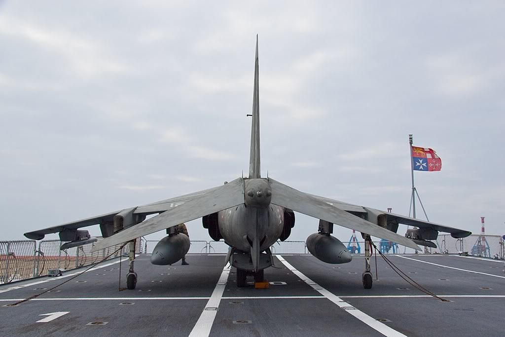 harrier1121.jpg