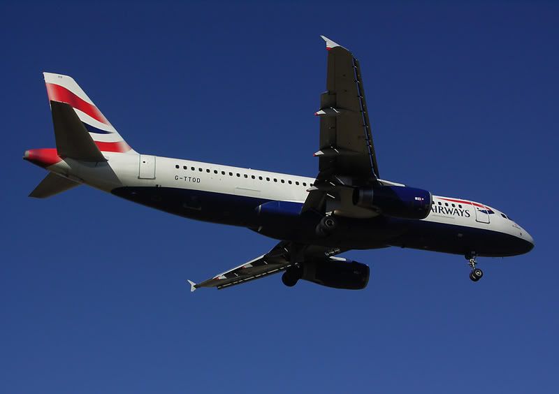 G-TTODagp.jpg