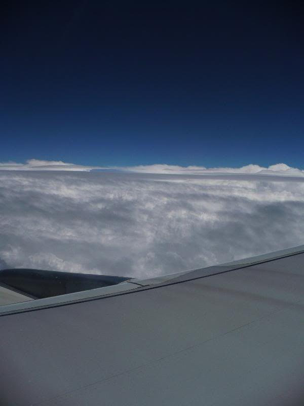 P1010650.jpg