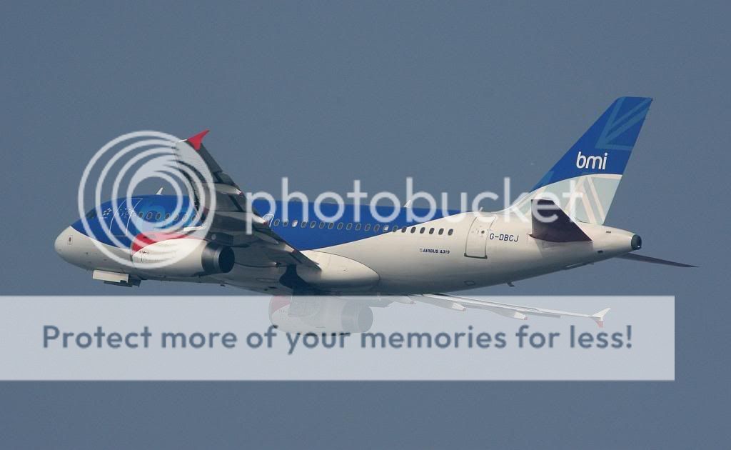 IMG_3499.jpg