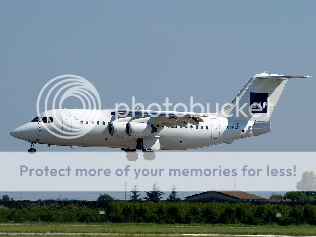 AM029376.jpg