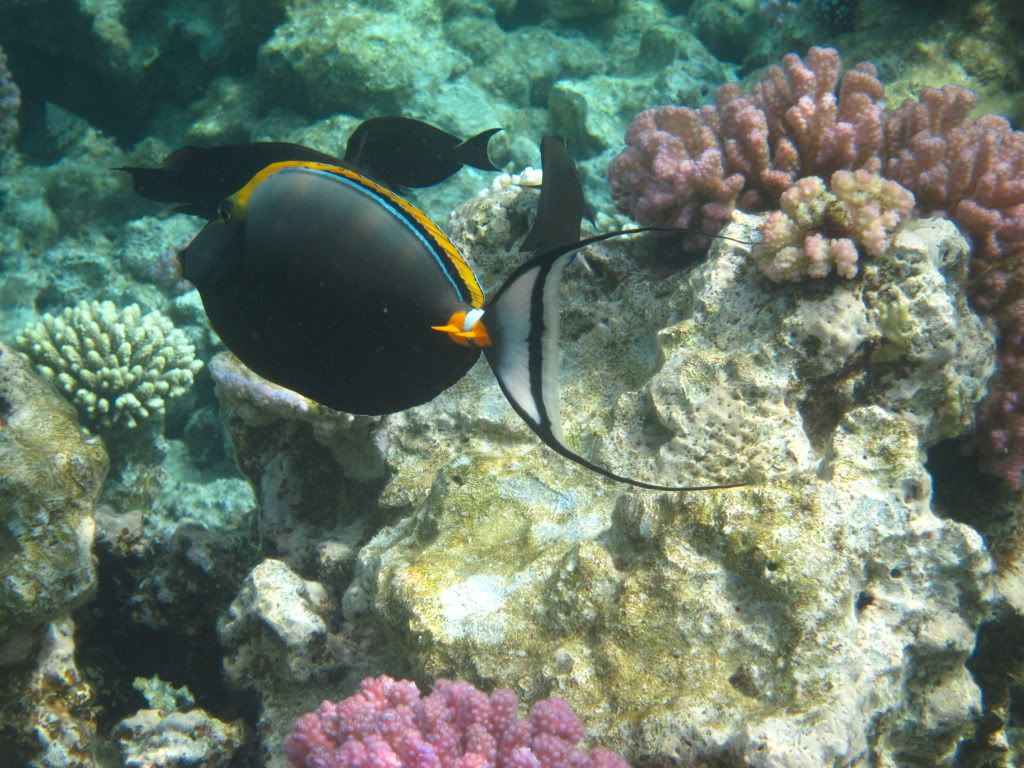 IMG_2322.jpg
