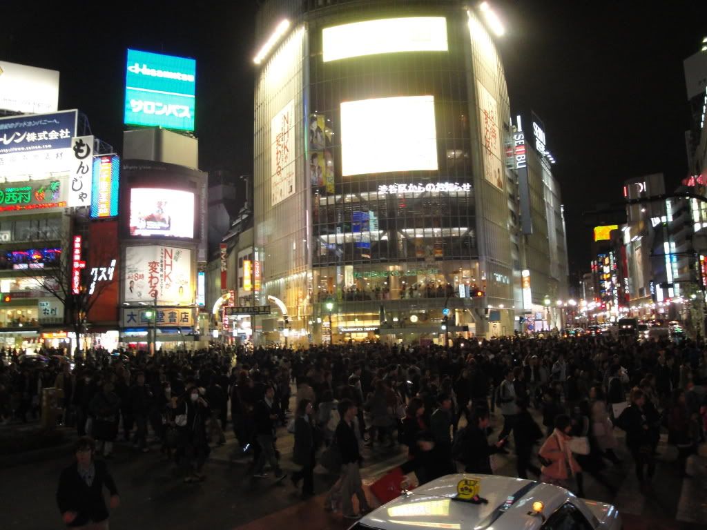 DSC01760.jpg
