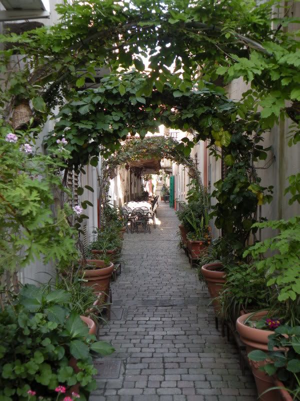DSCN8086.jpg