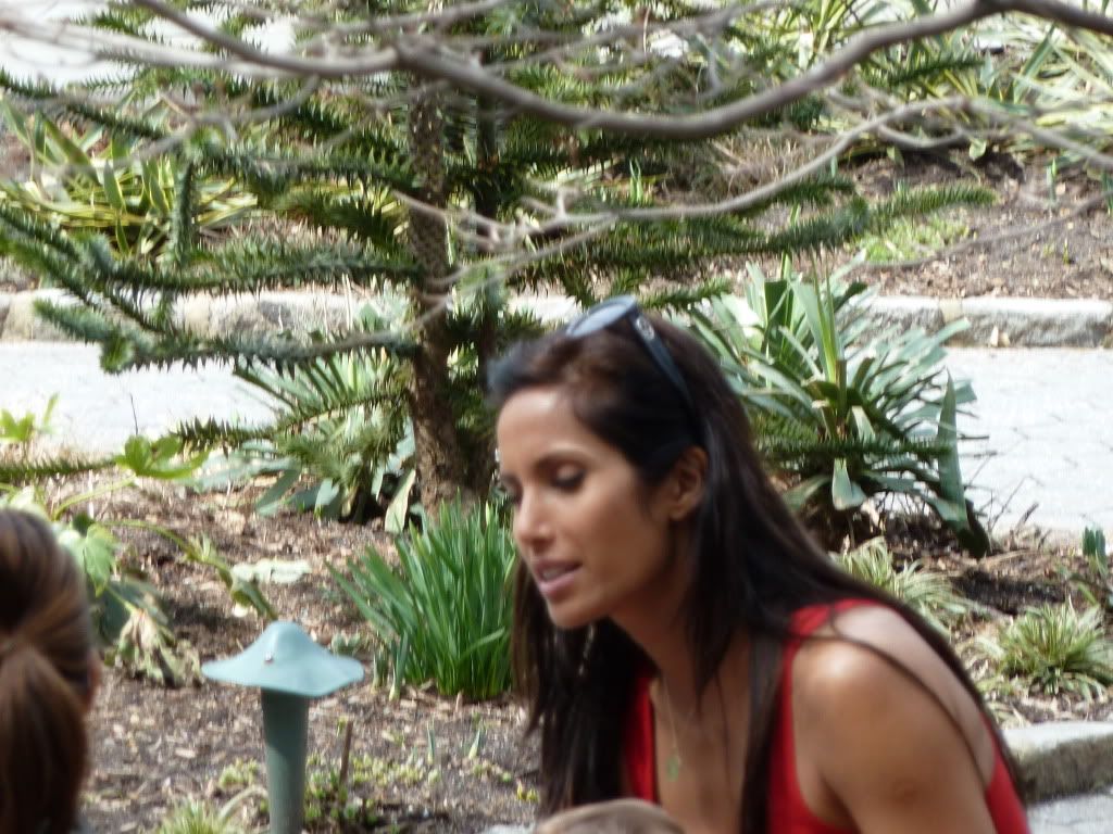 P1000678.jpg