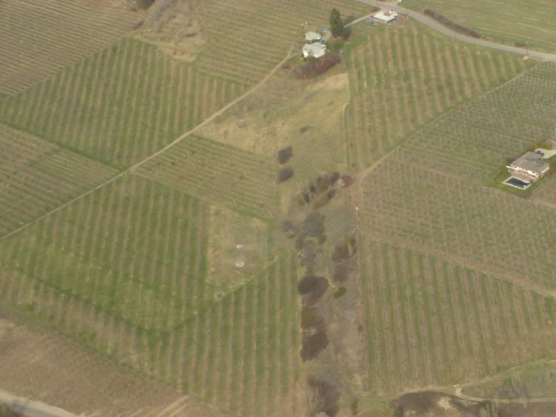 CIMG8556.jpg