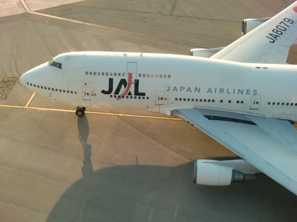 CIMG1355.jpg