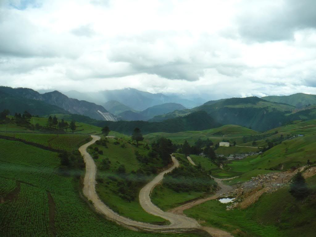 P1010161.jpg