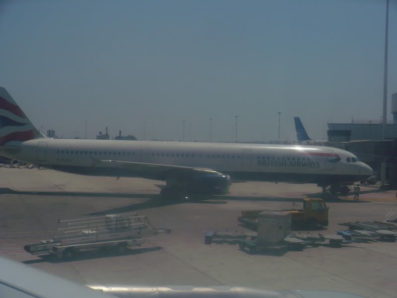 P1020194.jpg