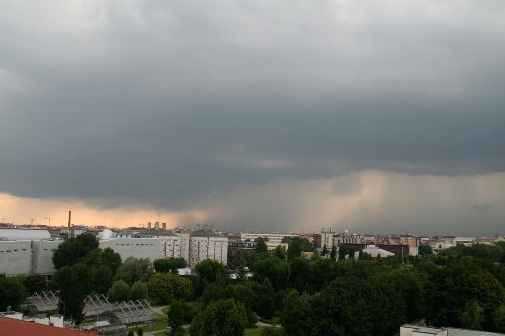 IMG_2752.jpg