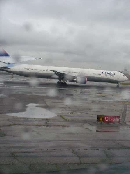 P1020149-1.jpg