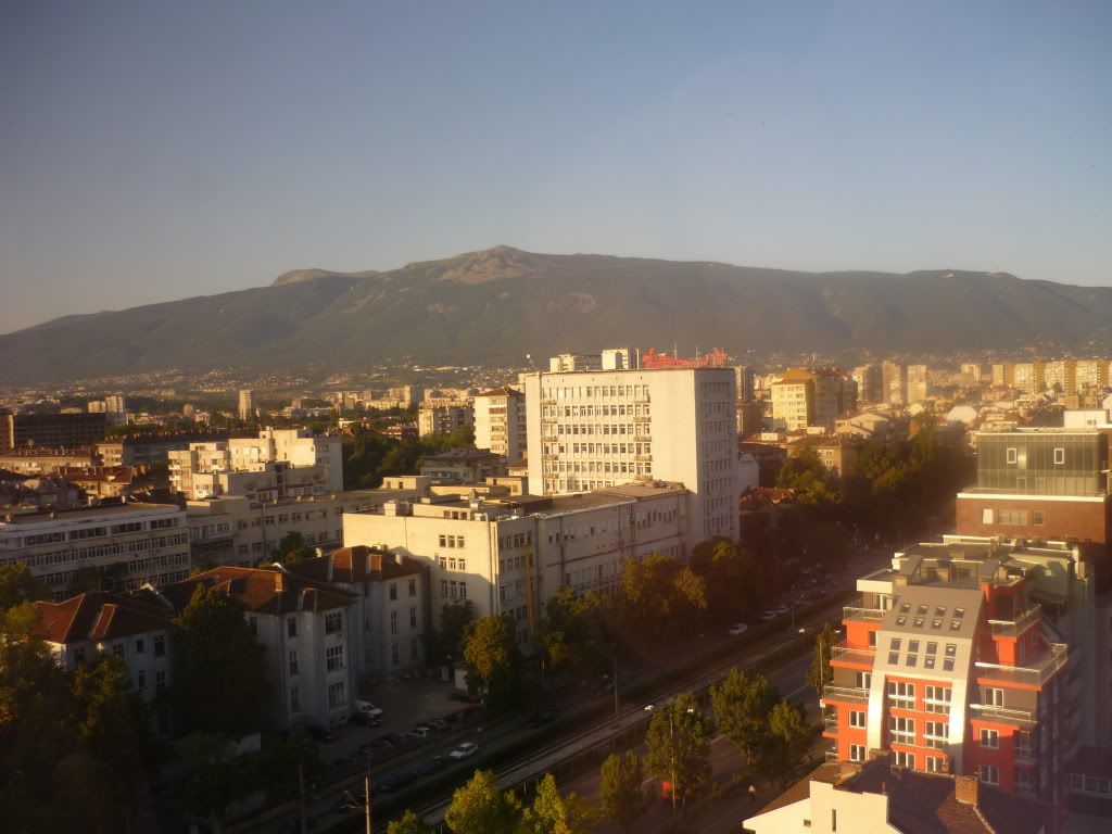 P1000402.jpg