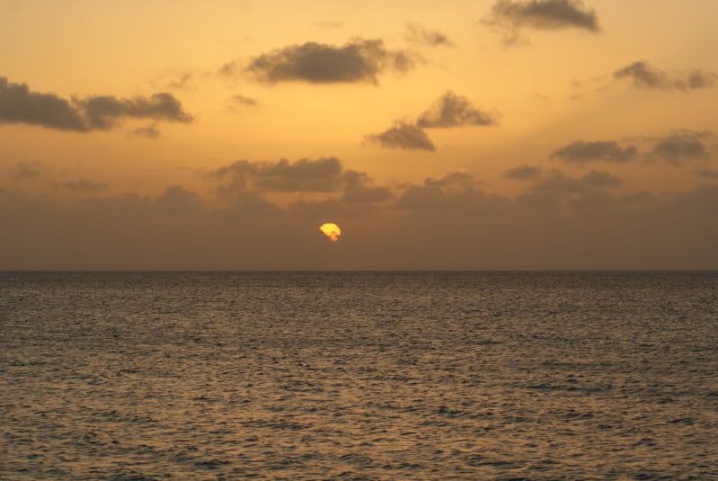 DSC01374.jpg