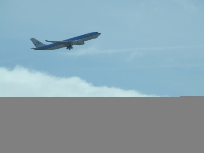 DSCF4032.jpg