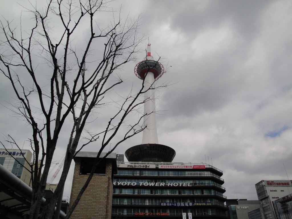DSC01501.jpg