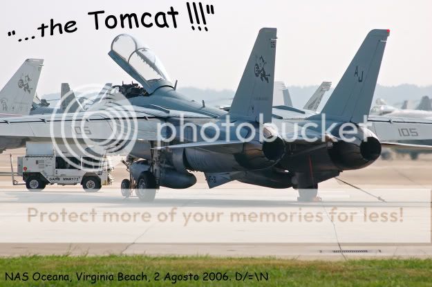 Tomcat105_DF.jpg