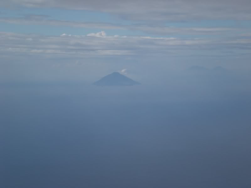 DSCN5473.jpg
