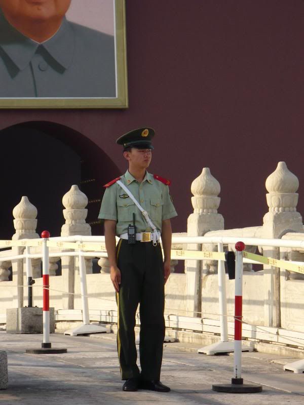 P1010684.jpg