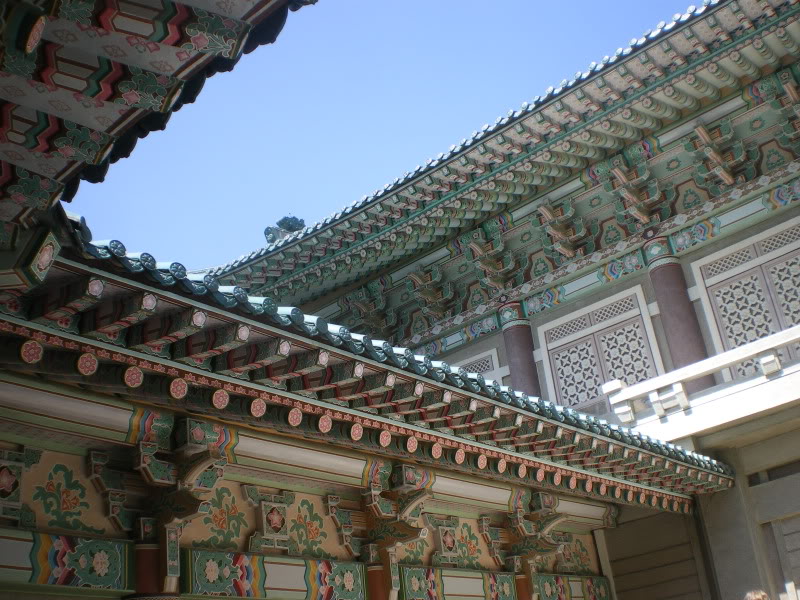 IMGP5799.jpg