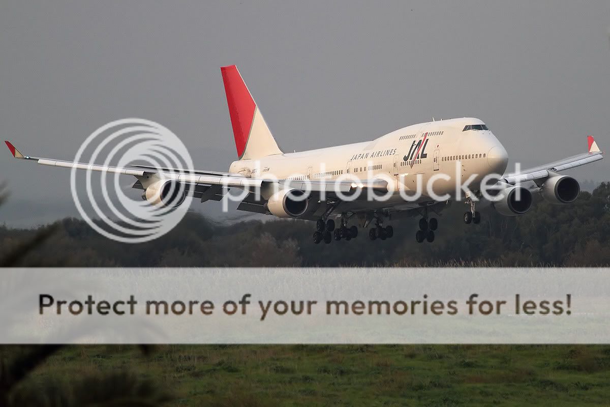 019_jal.jpg